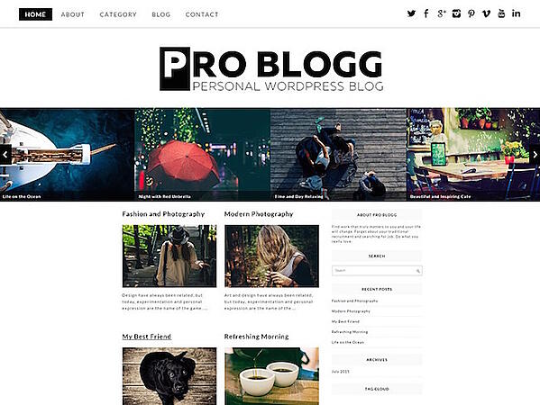 Pro Blogg WordPress theme