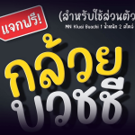 ฟ้อนต์ไทย กล้วยบวชชี (MN Kluai Buatchi)