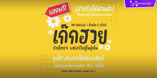 Read more about the article ฟ้อนต์ไทย เก๊กฮวย (MN Kekhuai)