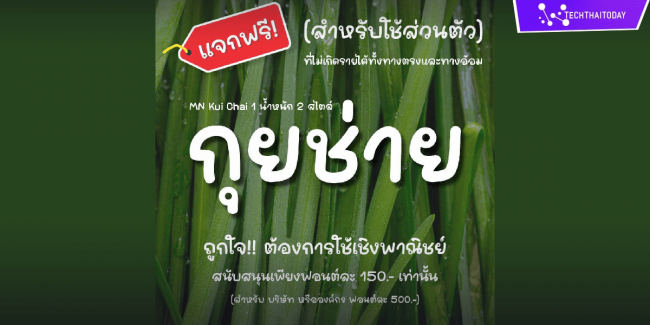 Read more about the article ฟ้อนต์ไทย กุยช่าย (MN Kui Chai)