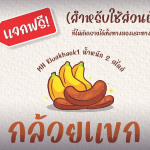 ฟ้อนต์ไทย กล้วยแขก (MN Kluaikhaek)