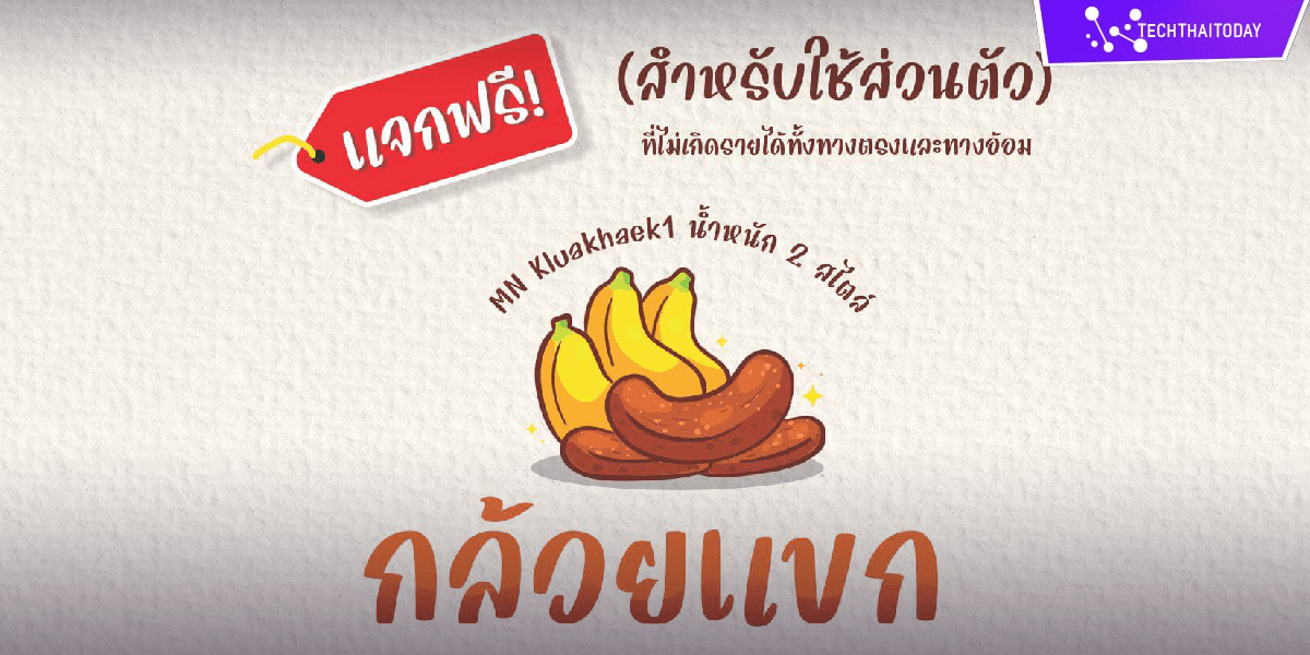 Read more about the article ฟ้อนต์ไทย กล้วยแขก (MN Kluaikhaek)