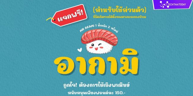 Read more about the article ฟ้อนต์ไทย อากามิ (MN AKAMI)